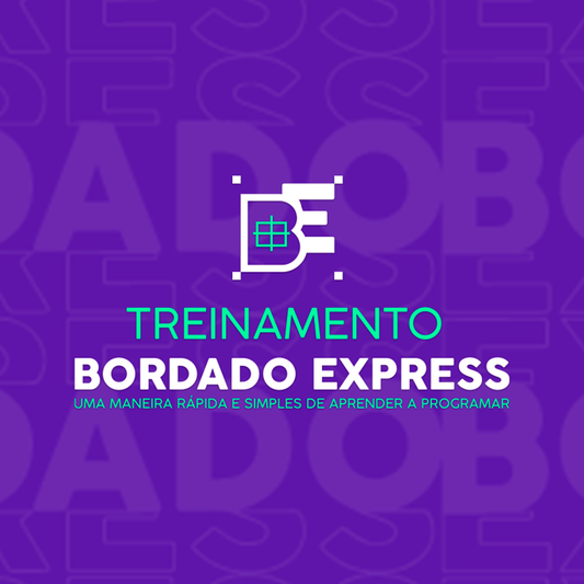 Treinamento Bordado Express (Criação de Matrizes)